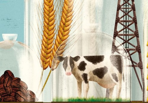 Is there a commodity etf?