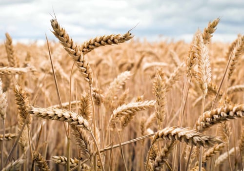 What is the best commodity etf?
